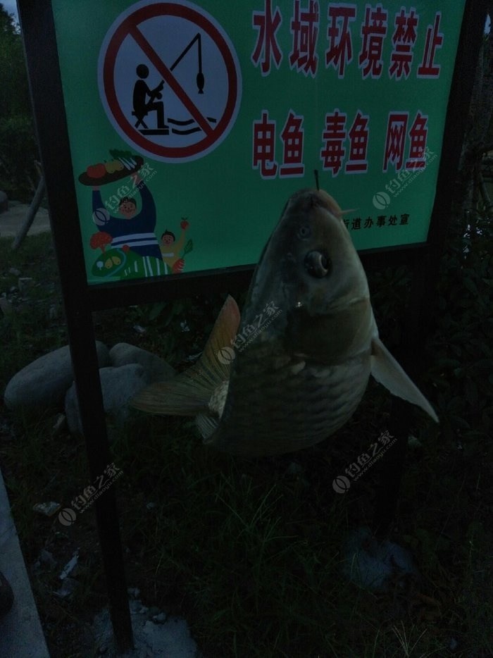 hanjunhao 第5頁(yè)