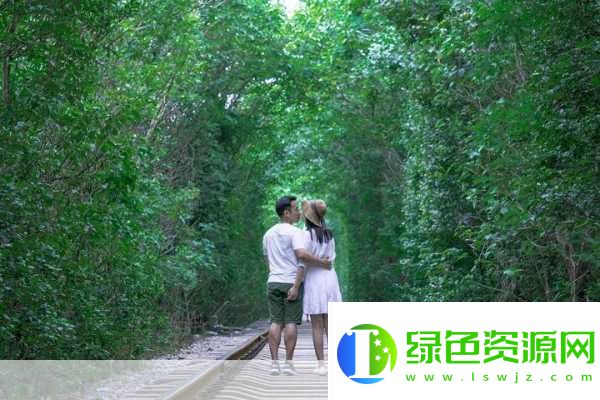 最美情侶的中國(guó)字幕視頻，情感與文化的交融之美，最美情侶字幕視頻，情感與文化交融的絕美展現(xiàn)