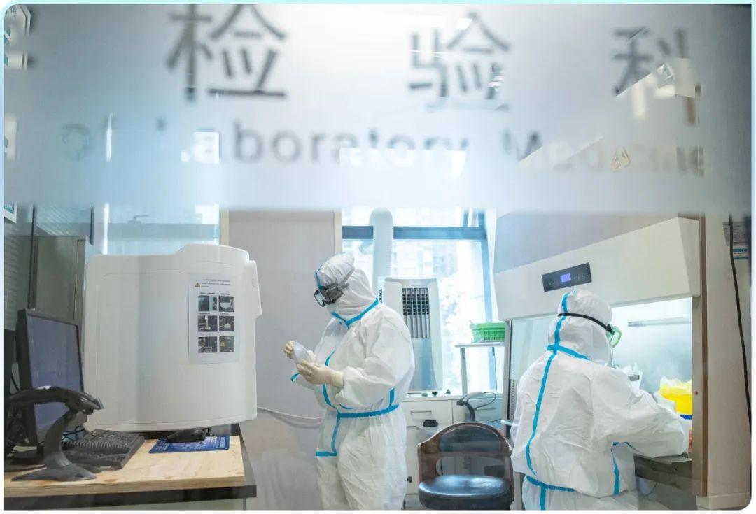 張珊珊到底是誰(shuí)？，揭秘張珊珊身份背景，究竟是誰(shuí)？