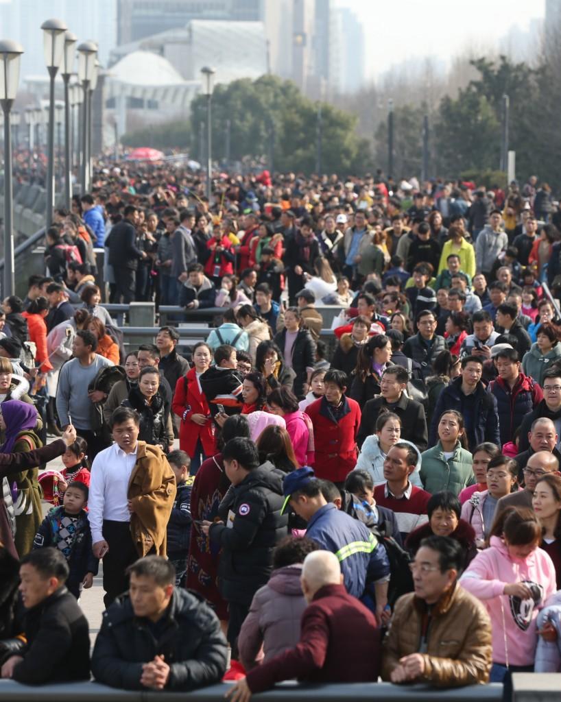 上海郊區(qū)景點大全排名榜，探尋都市中的自然與人文魅力，「上海郊區(qū)景點排名榜，探尋都市中的自然與人文風情」