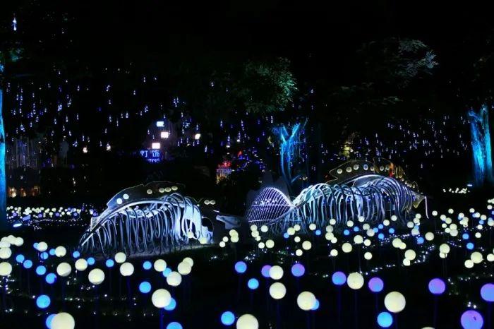 公園門(mén)票，一次二十塊錢(qián)的體驗(yàn)與回憶，公園門(mén)票，二十塊錢(qián)的體驗(yàn)之旅與美好回憶