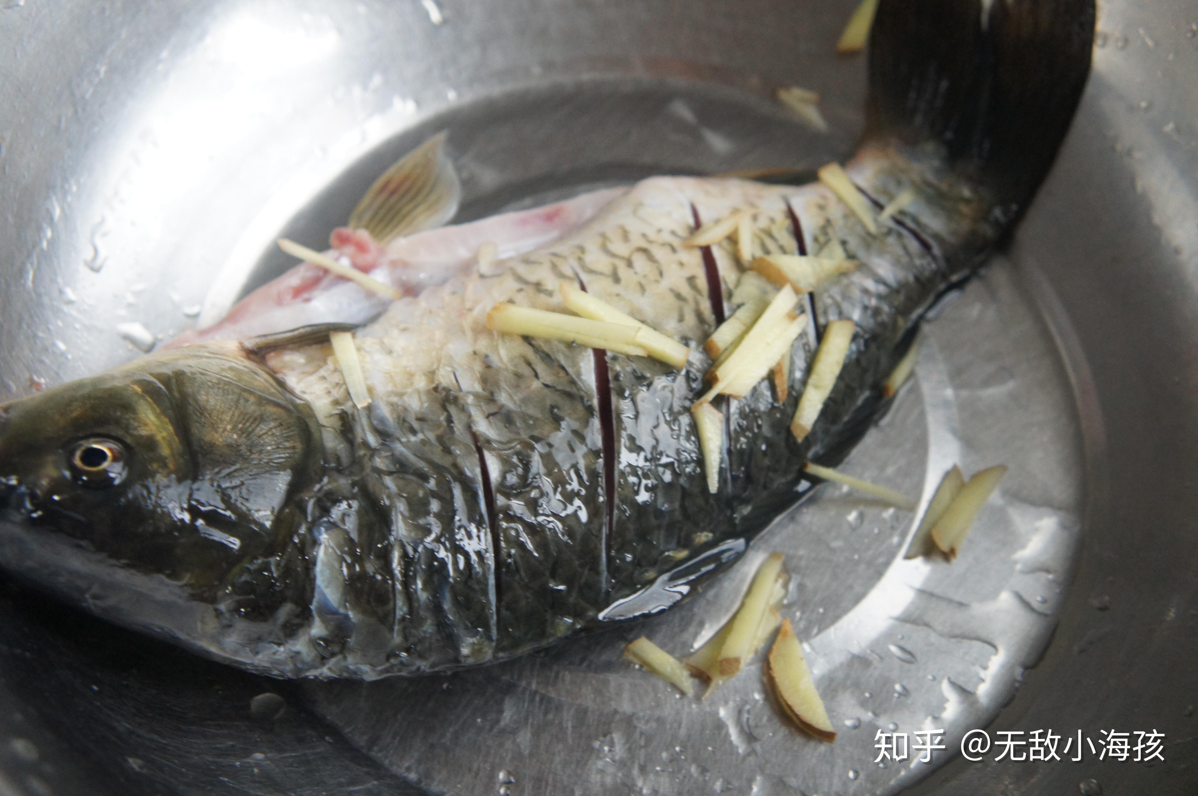 鯉魚的美味烹飪之道，探索鯉魚好吃的多種做法，鯉魚烹飪百味，探索多種美味做法的鯉魚佳肴