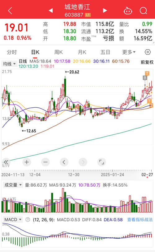 探索603887城地股份股吧的獨特魅力與挑戰(zhàn)，探索603887城地股份股吧，獨特魅力與挑戰(zhàn)一覽