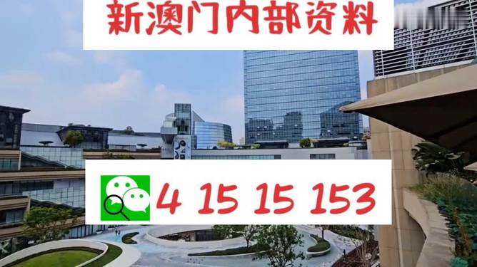 新澳門(mén)4949免費(fèi)資料大全，探索與解析，澳門(mén)新4949資料解析與探索指南