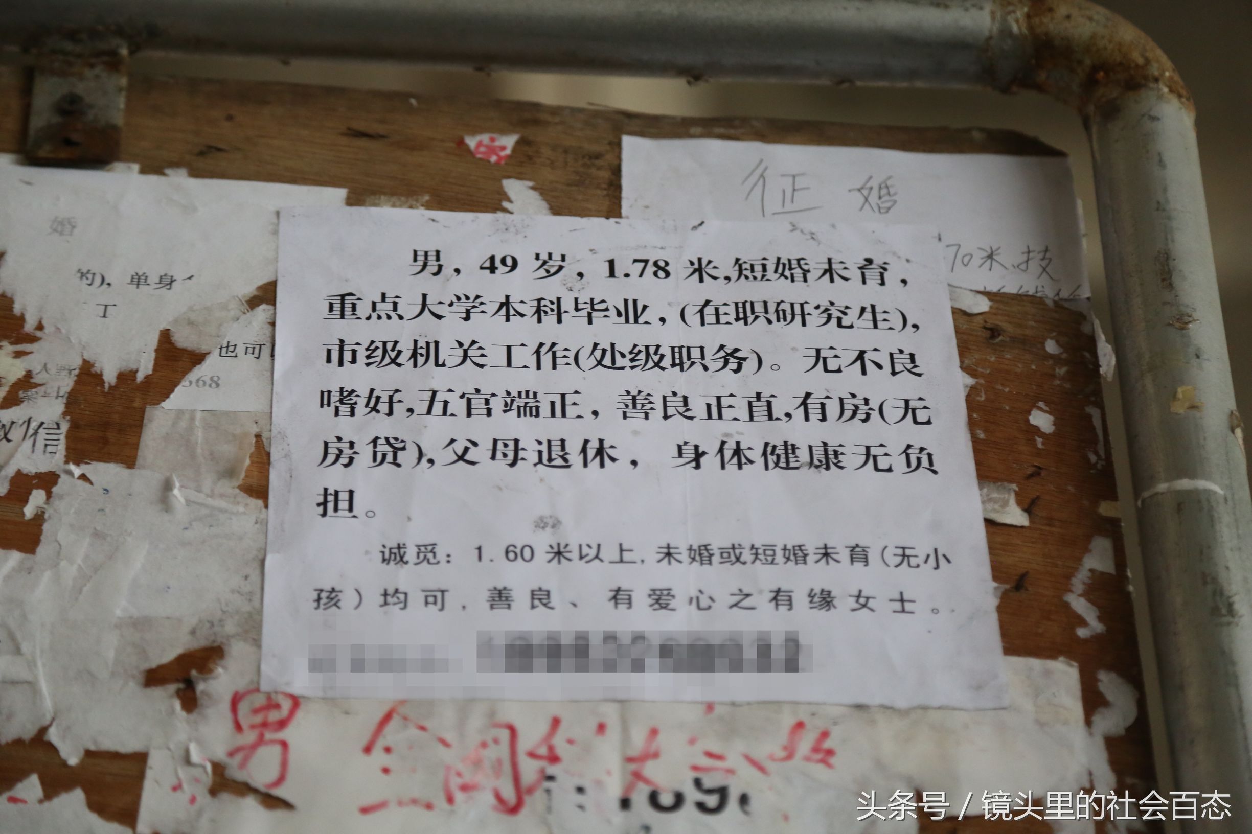 征婚廣告，一場搞笑與緣分的狂歡派對，征婚廣告，搞笑與緣分的狂歡派對啟程！