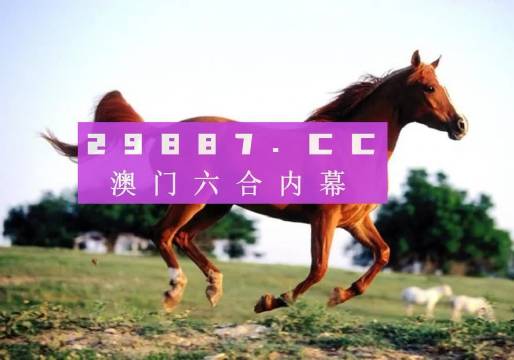 澳門一肖一碼最準(zhǔn)，揭秘彩票預(yù)測的真相，澳門彩票預(yù)測揭秘，一肖一碼最準(zhǔn)真相探究