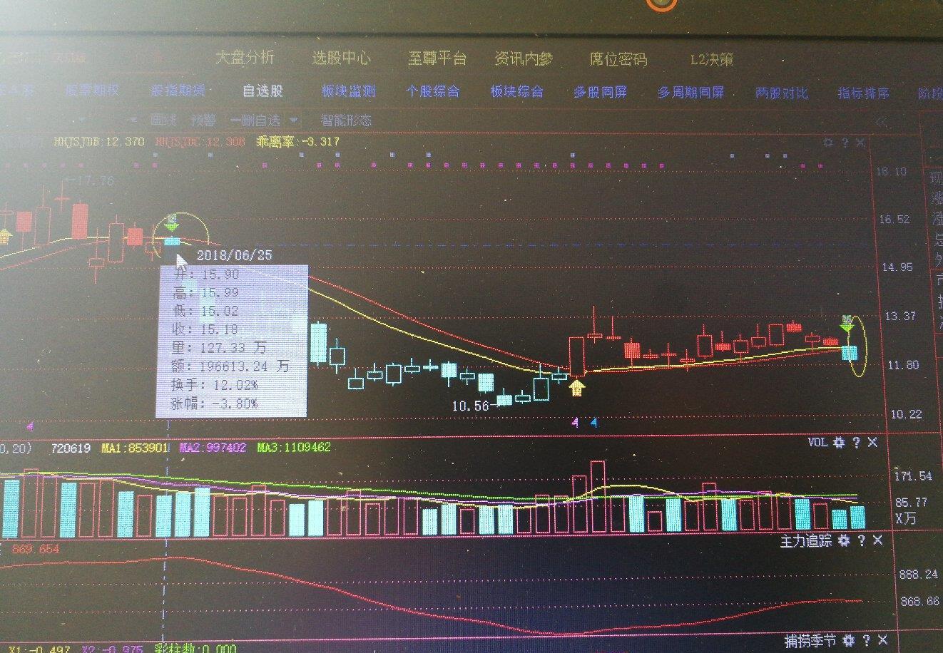 羅牛山（000735）股吧，深度解析與前景展望，羅牛山（000735）股吧深度解析及前景展望，投資視角的全面剖析