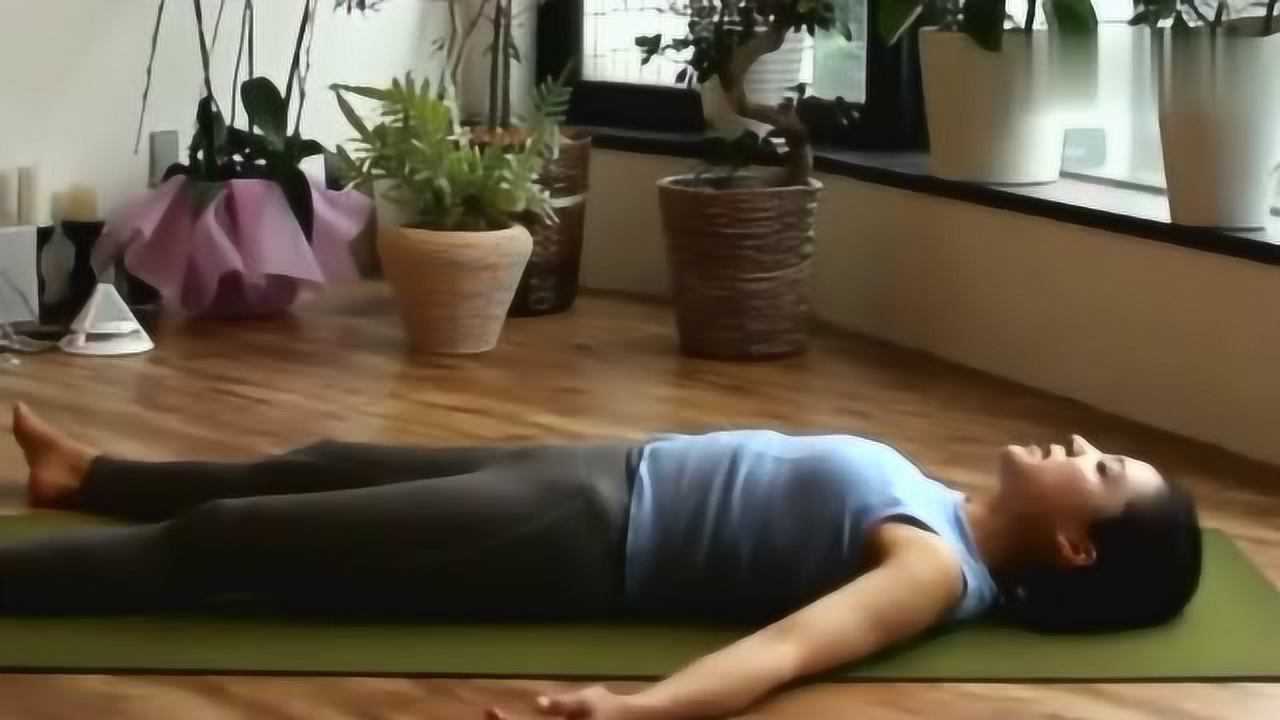 瑜伽大戶型視頻，引領(lǐng)健康生活的全新體驗(yàn)，瑜伽大戶型視頻，開啟健康生活全新篇章