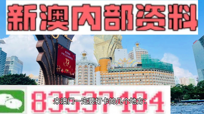 澳門黃金網(wǎng)站，免費(fèi)打開，探索無盡財(cái)富之路，澳門黃金網(wǎng)站，開啟財(cái)富探索之旅，免費(fèi)打開，無盡財(cái)富之路