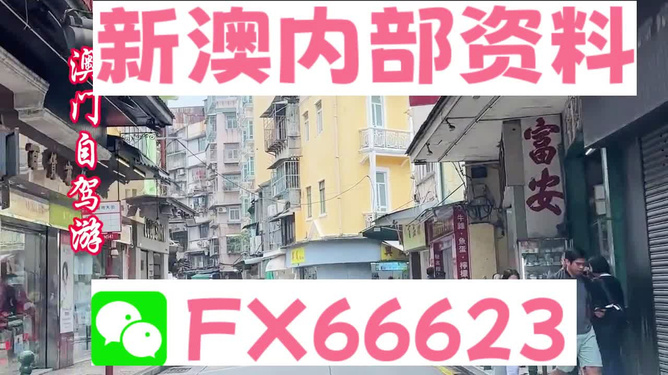 新澳精準(zhǔn)資料免費提供，探索第510期的價值與影響力，新澳精準(zhǔn)資料第510期探索與價值揭秘