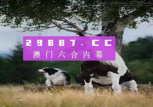 澳門(mén)最準(zhǔn)的四不像資料游戲，澳門(mén)四不像游戲資料，最精準(zhǔn)的游戲指南
