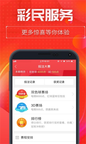 王中王精選一肖四碼中特，揭秘彩票背后的秘密與策略，揭秘彩票背后的秘密與策略，王中王精選一肖四碼中特方法解析