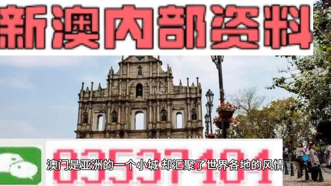 澳門金牛版免費(fèi)資料網(wǎng)澳，探索與解析，澳門金牛版資料探索與解析