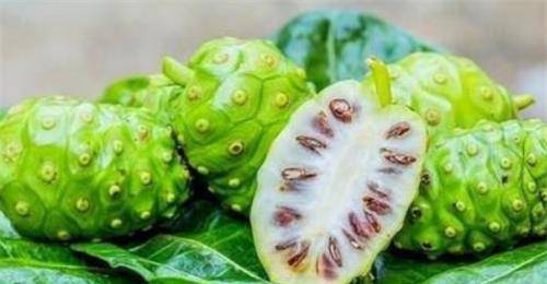 澳門最快開獎(jiǎng)與水果奶奶的故事，澳門開獎(jiǎng)速度與水果奶奶的傳奇故事