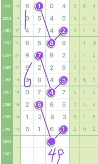 王中王最準(zhǔn)平特一肖——揭秘精準(zhǔn)預(yù)測(cè)的魅力，揭秘王中王精準(zhǔn)預(yù)測(cè)平特一肖的魅力所在