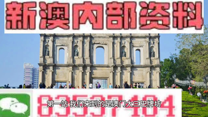 澳門正版49圖庫資料免費，探索與解析，澳門正版49圖庫資料解析與探索