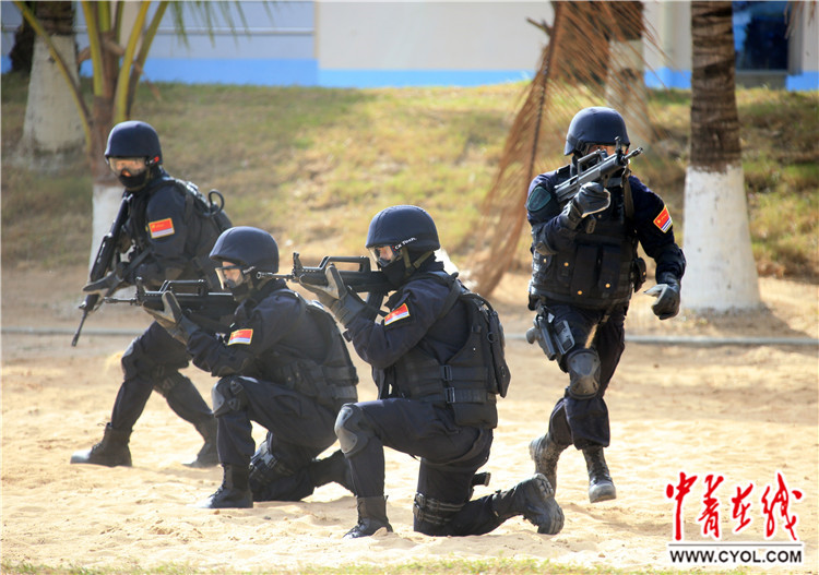 揭秘蛟龍突擊隊(duì)所屬軍種，揭秘蛟龍突擊隊(duì)所屬軍種，神秘特種部隊(duì)探秘