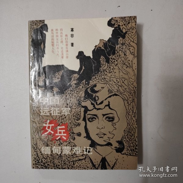 緬甸遠征軍的小說，英勇與犧牲的史詩，緬甸遠征軍，英勇犧牲的史詩之旅