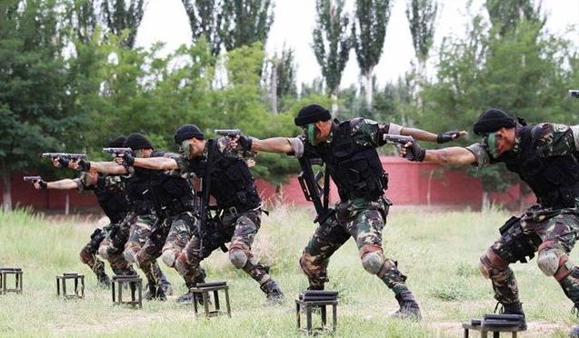 揭秘蛟龍突擊隊與先進(jìn)武器，戰(zhàn)斗力倍增的力量之源，揭秘蛟龍突擊隊與先進(jìn)武器，戰(zhàn)斗力倍增的源泉
