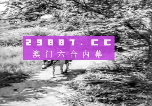 澳門六肖十八碼最簡單三個(gè)步驟
