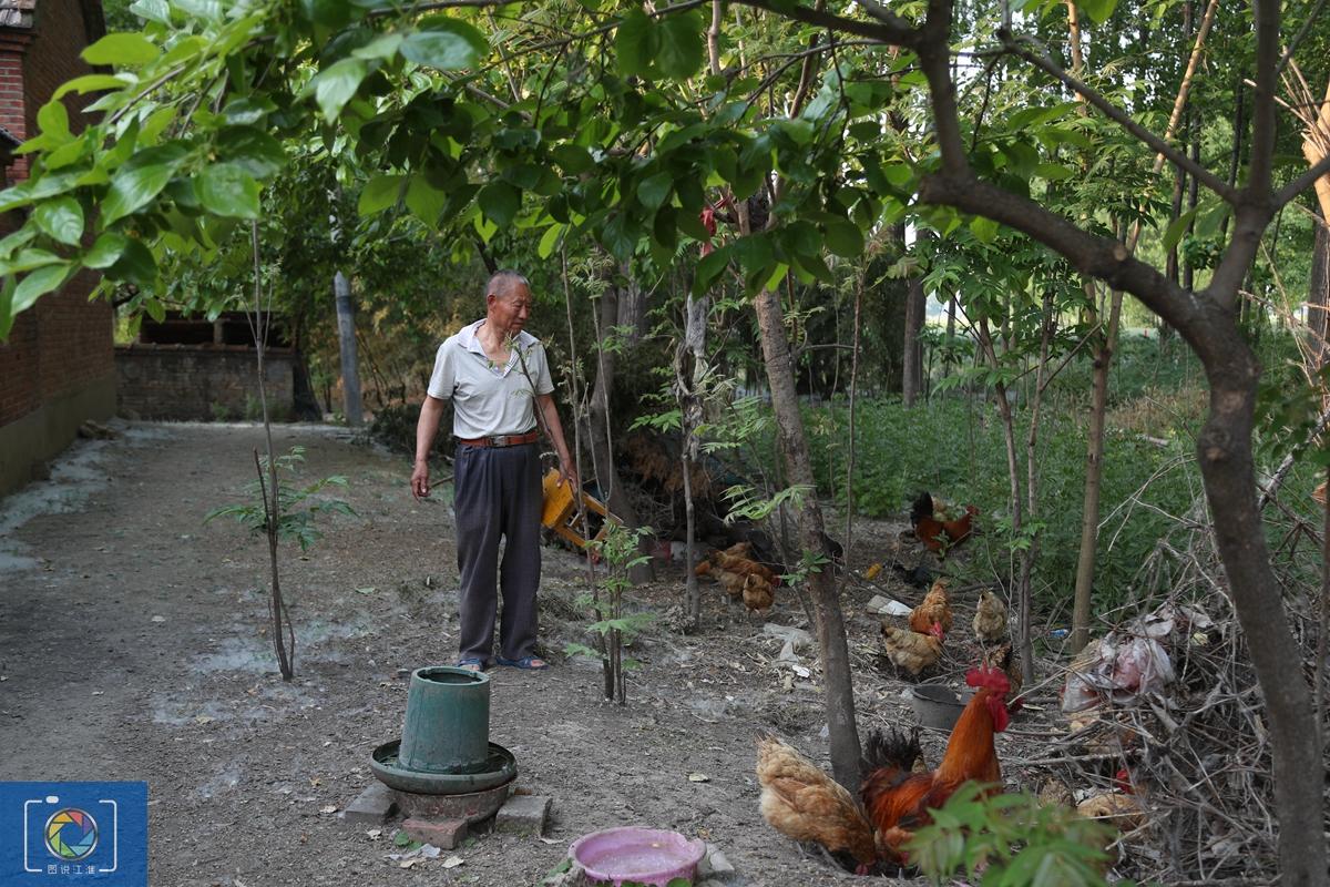 重慶816核基地，歷史、現(xiàn)狀及其重要性，重慶816核基地，歷史、現(xiàn)狀與重要性探究