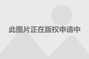三軍儀仗隊圖片Logo，榮耀的象征與國家的驕傲，三軍儀仗隊圖片Logo，國家榮耀與驕傲的典范