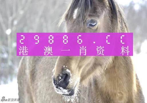 澳門一肖一碼，揭秘背后的秘密與真相，澳門一肖一碼揭秘背后的秘密真相大揭秘