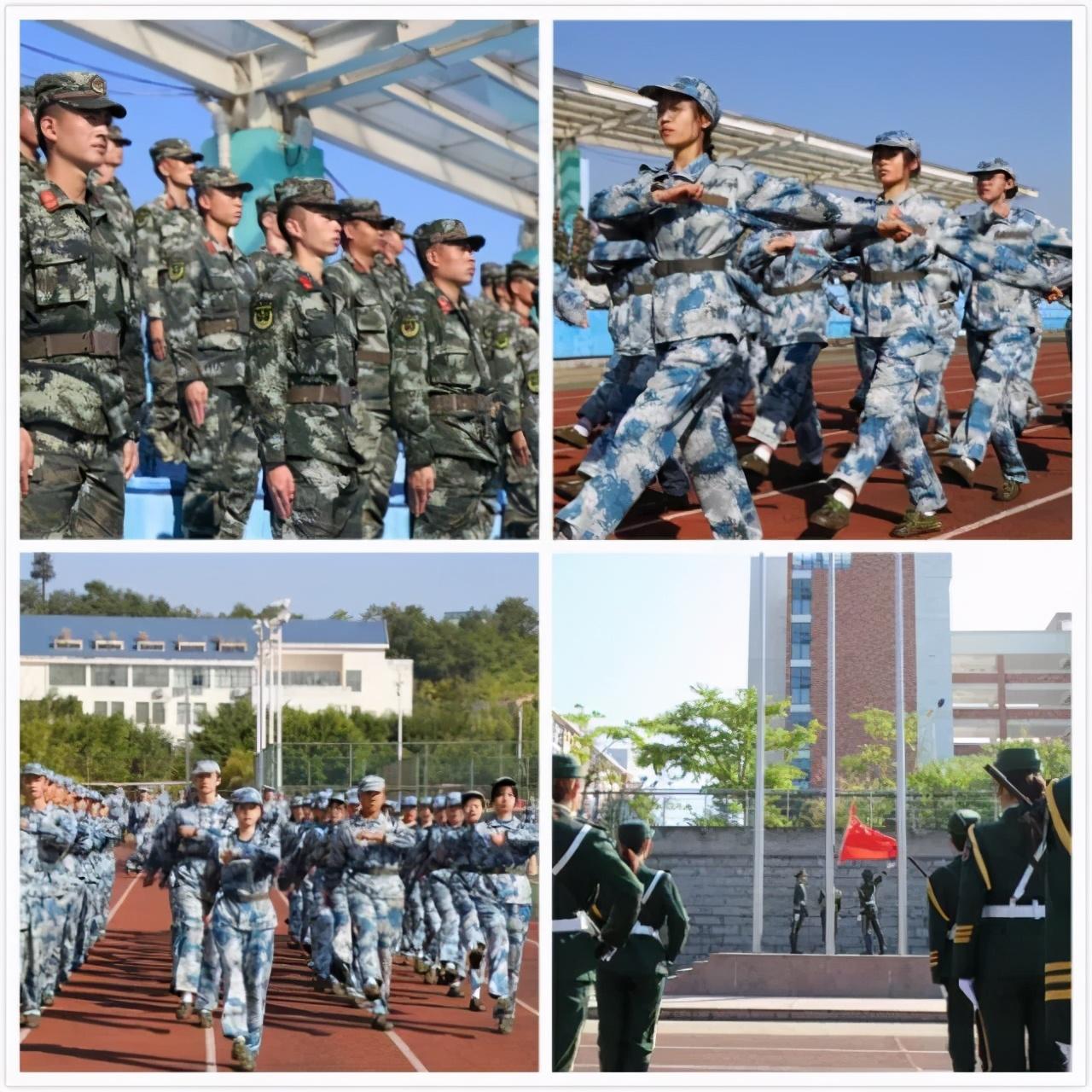 中央軍事頻道在2020年的表現(xiàn)與影響，中央軍事頻道在2020年的表現(xiàn)及其影響力分析