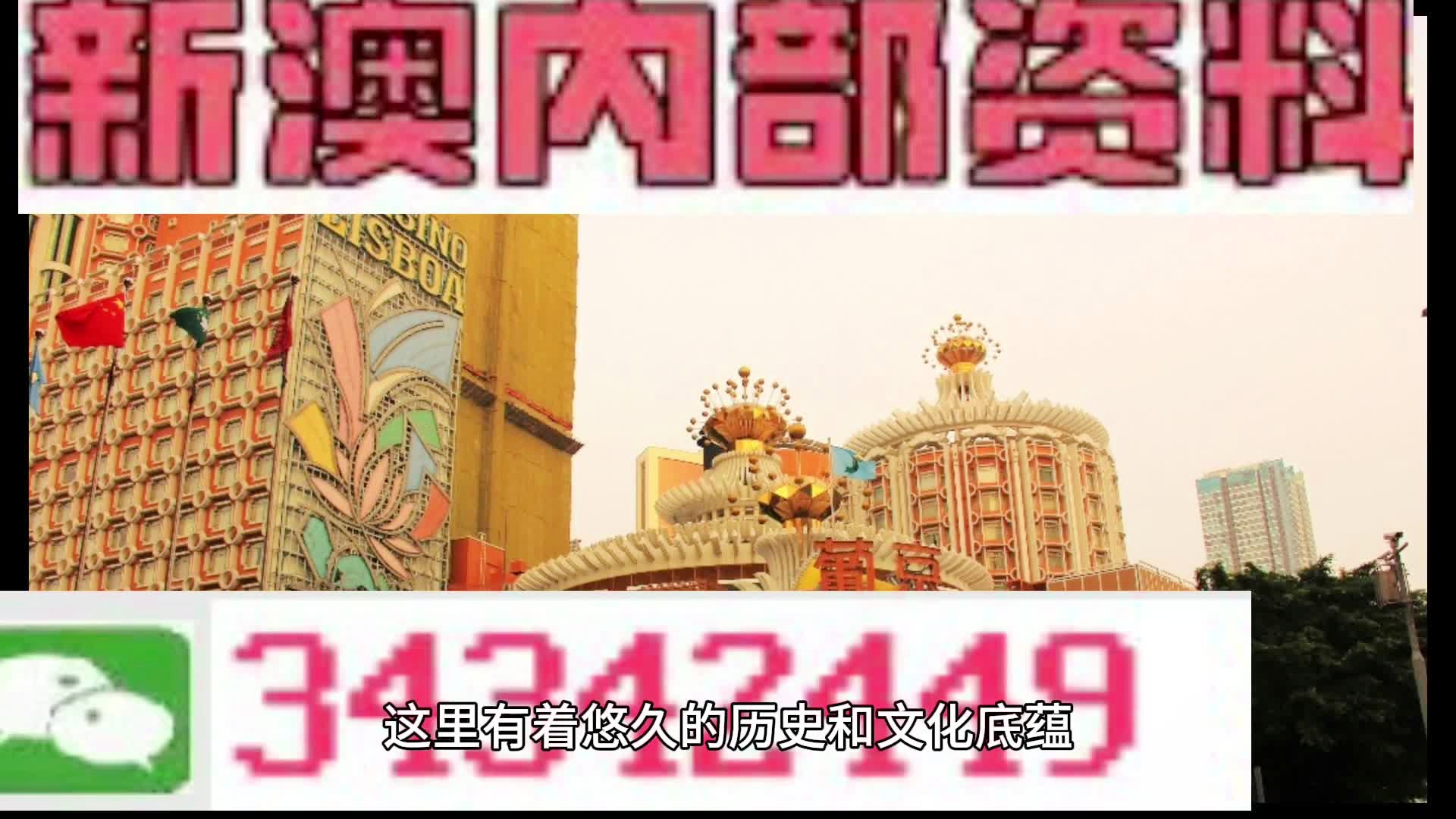 澳門未來展望，聚焦2025新澳門資料大全（第123期），澳門未來展望，聚焦新澳門資料大全（第123期展望至2025年）