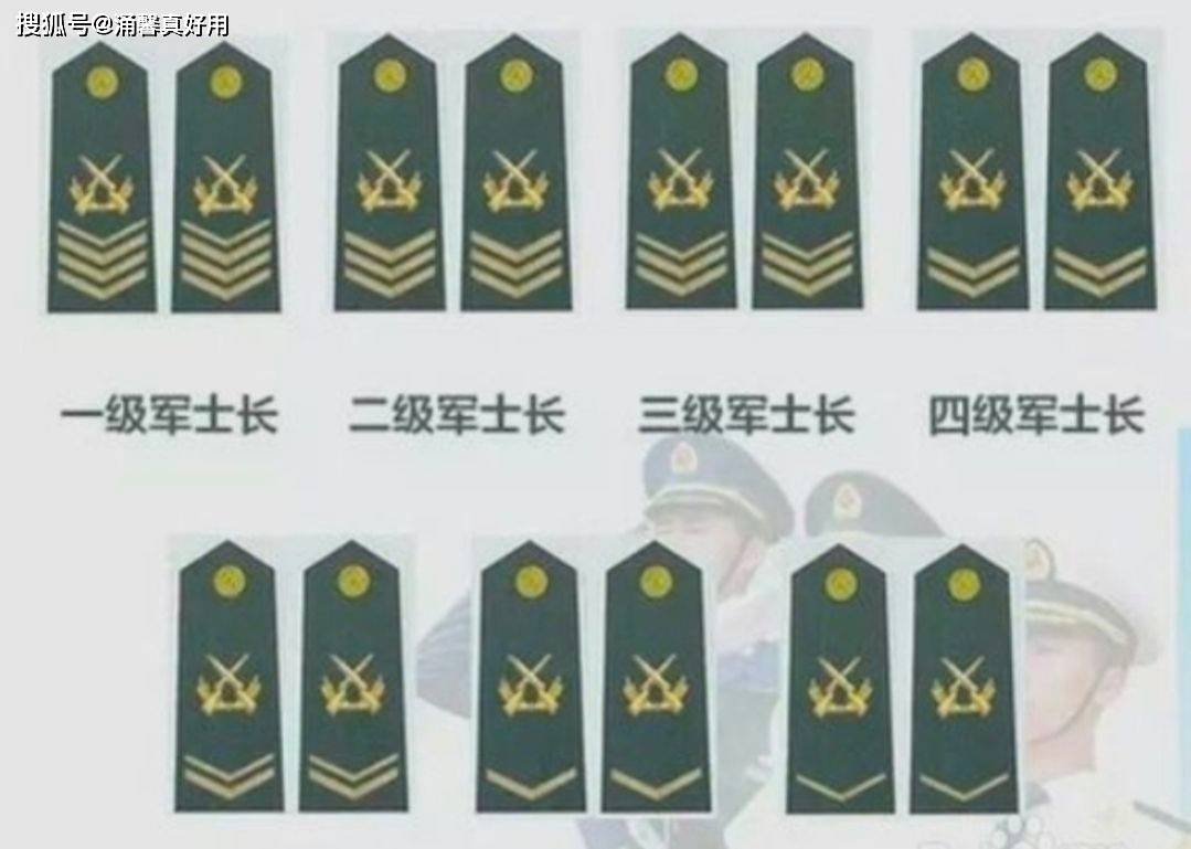 七級士官軍銜，榮譽與責任的象征，七級士官軍銜，榮譽與責任的標志