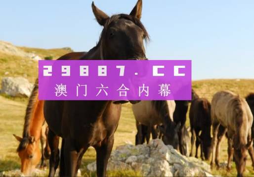 揭秘與探索（或探索之旅）