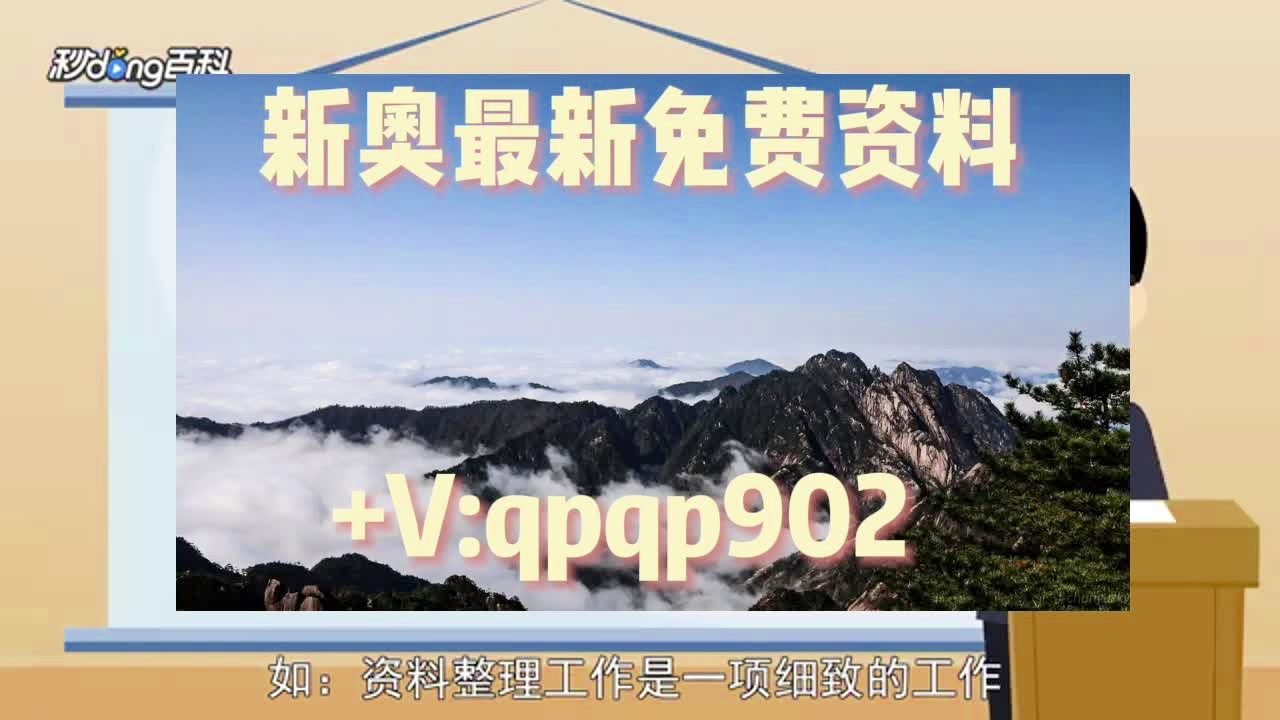 新澳2025正版資料大全詳解，新澳2025正版資料大全全面解析