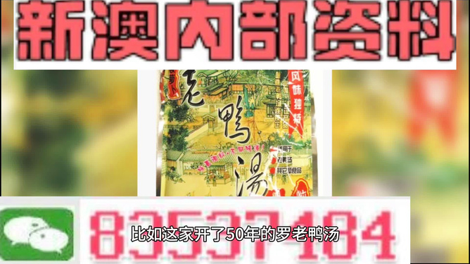 新澳2025年正版資料深度解析，新澳2025年正版資料深度剖析