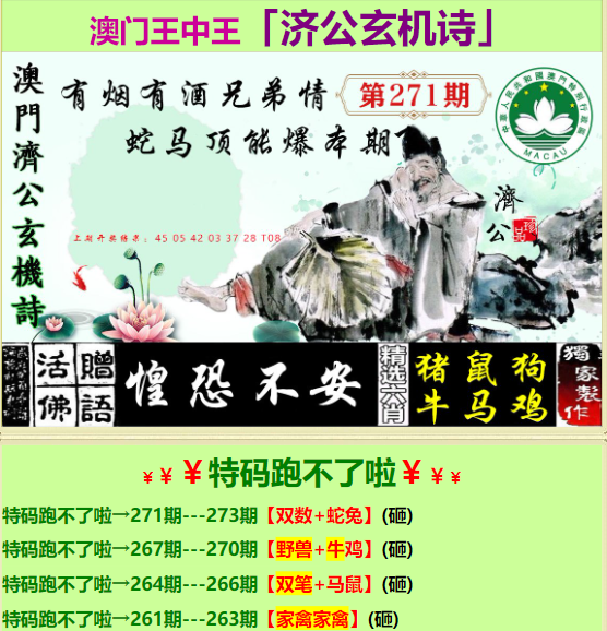 探究王中王一肖中特，一個(gè)獨(dú)特的文化現(xiàn)象與深層內(nèi)涵，探究王中王一肖中特的獨(dú)特文化現(xiàn)象與深層內(nèi)涵