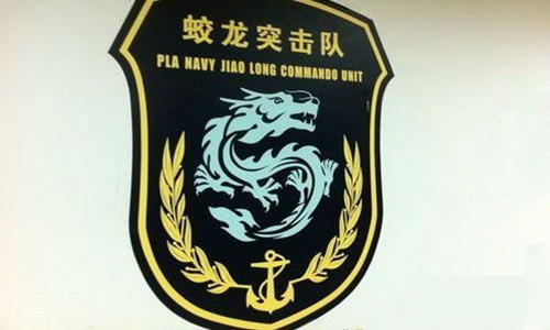 蛟龍突擊隊編制是連嗎？——解析特種部隊編制與使命，特種部隊編制揭秘，蛟龍突擊隊是連級單位嗎？解析其使命與編制
