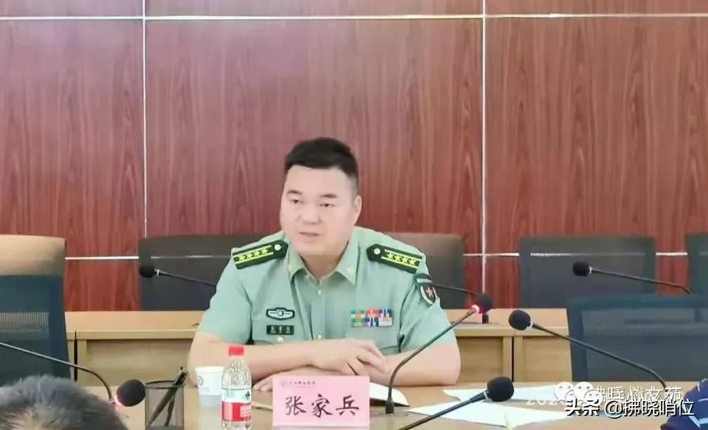 集團軍處長級別的職責與角色解析，集團軍處長級別的職責與角色深度解析