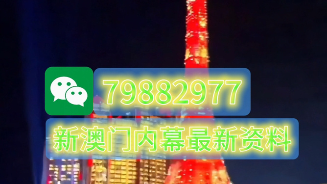 澳門今晚必開一肖一特，探索背后的文化魅力與預(yù)測(cè)邏輯，澳門今晚生肖預(yù)測(cè)背后的文化魅力與預(yù)測(cè)邏輯探索