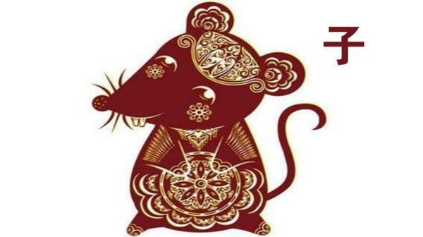 生肖預(yù)測(cè)