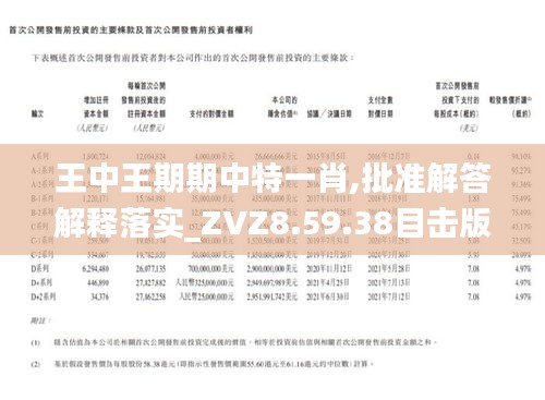 王中王一肖期石，探尋傳奇背后的故事，王中王一肖期石，傳奇背后的故事揭秘
