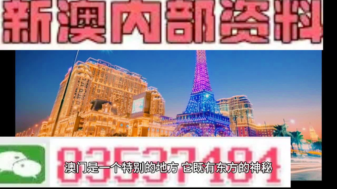 新澳門正版精準(zhǔn)免費大全，探索與解析，澳門正版精準(zhǔn)資料探索與解析大全