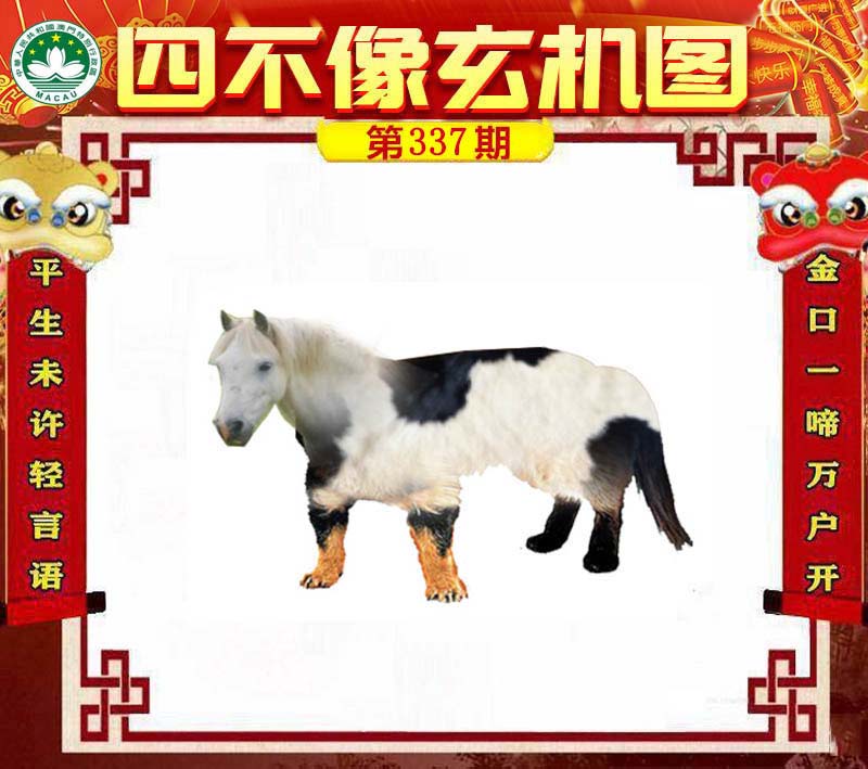 奧秘揭秘