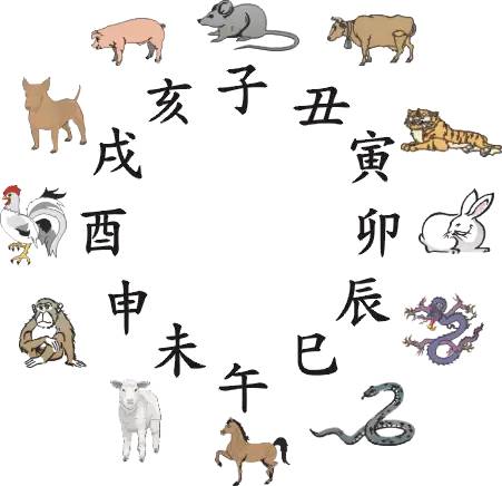 神秘魅力探尋