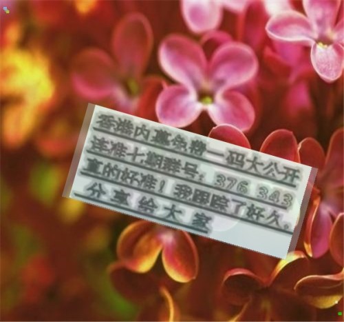 王中王六肖必中一期，揭秘精準(zhǔn)預(yù)測的魅力，揭秘王中王六肖精準(zhǔn)預(yù)測的魅力，一期必中傳奇！