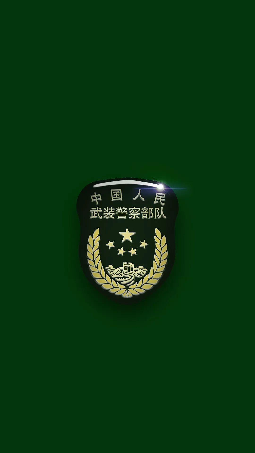 中國(guó)人民武裝警察部隊(duì)如何進(jìn)入，途徑與要求，中國(guó)人民武裝警察部隊(duì)入伍途徑、要求與流程解析