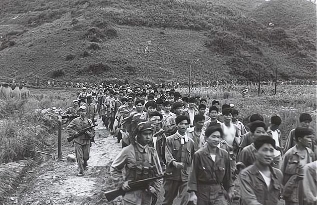 志愿軍第十五軍簡介，志愿軍第十五軍，歷史簡介與英勇事跡