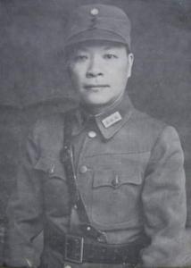 國民黨陸軍一級和二級上將名單及其歷史背景，國民黨陸軍一級和二級上將名單及其歷史背景揭秘