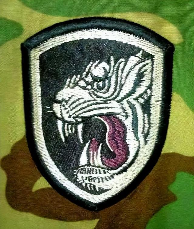 揭秘飛虎師臂章，一段關(guān)于榮譽(yù)與歷史的傳奇故事，飛虎師臂章背后的榮譽(yù)與傳奇故事