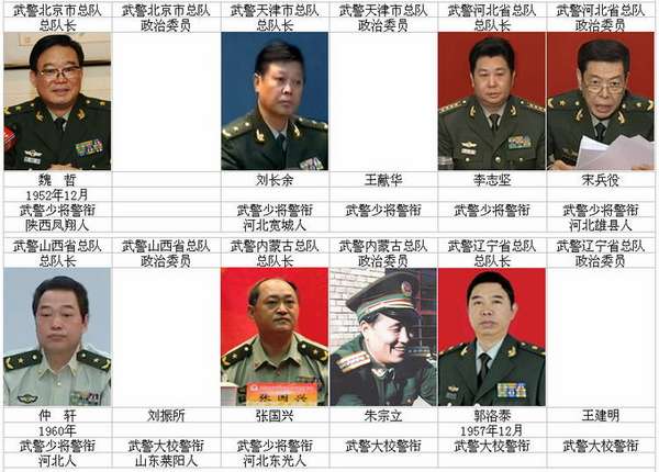 中國現(xiàn)役將軍數(shù)量概況，聚焦2020年的數(shù)據(jù)解析，中國現(xiàn)役將軍概況深度解析，聚焦2020年數(shù)據(jù)報告