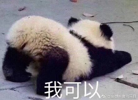 澳門最準(zhǔn)四不像，神秘與魅力的獨(dú)特融合，澳門神秘四不像，獨(dú)特魅力的融合之旅